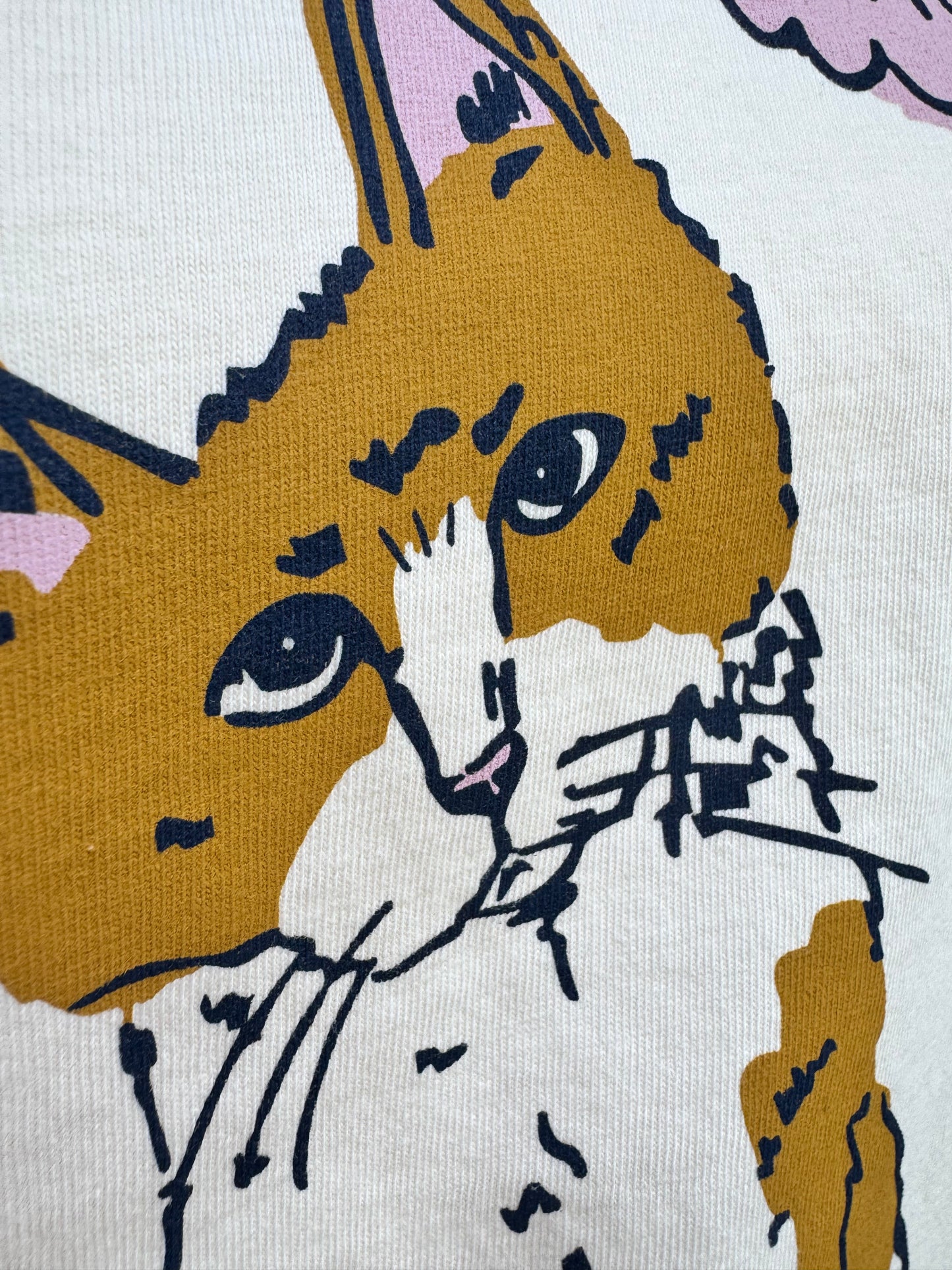 Cat “Feed Me Bitch!” T-shirt