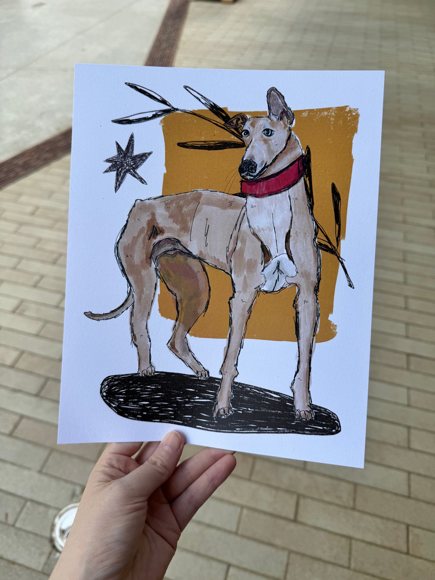 Large Greyhound Tan w/star Print 8x10