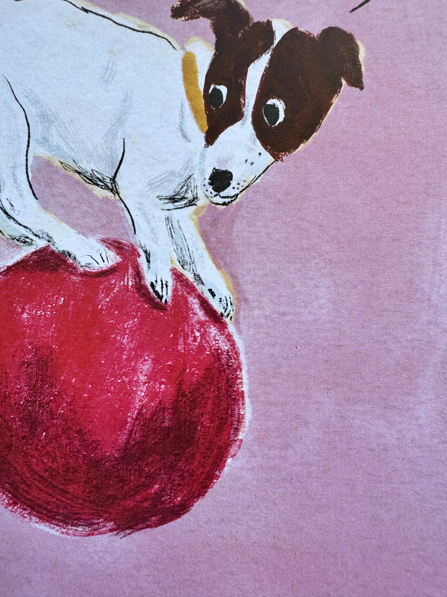 Dog on Ball Print 8x10