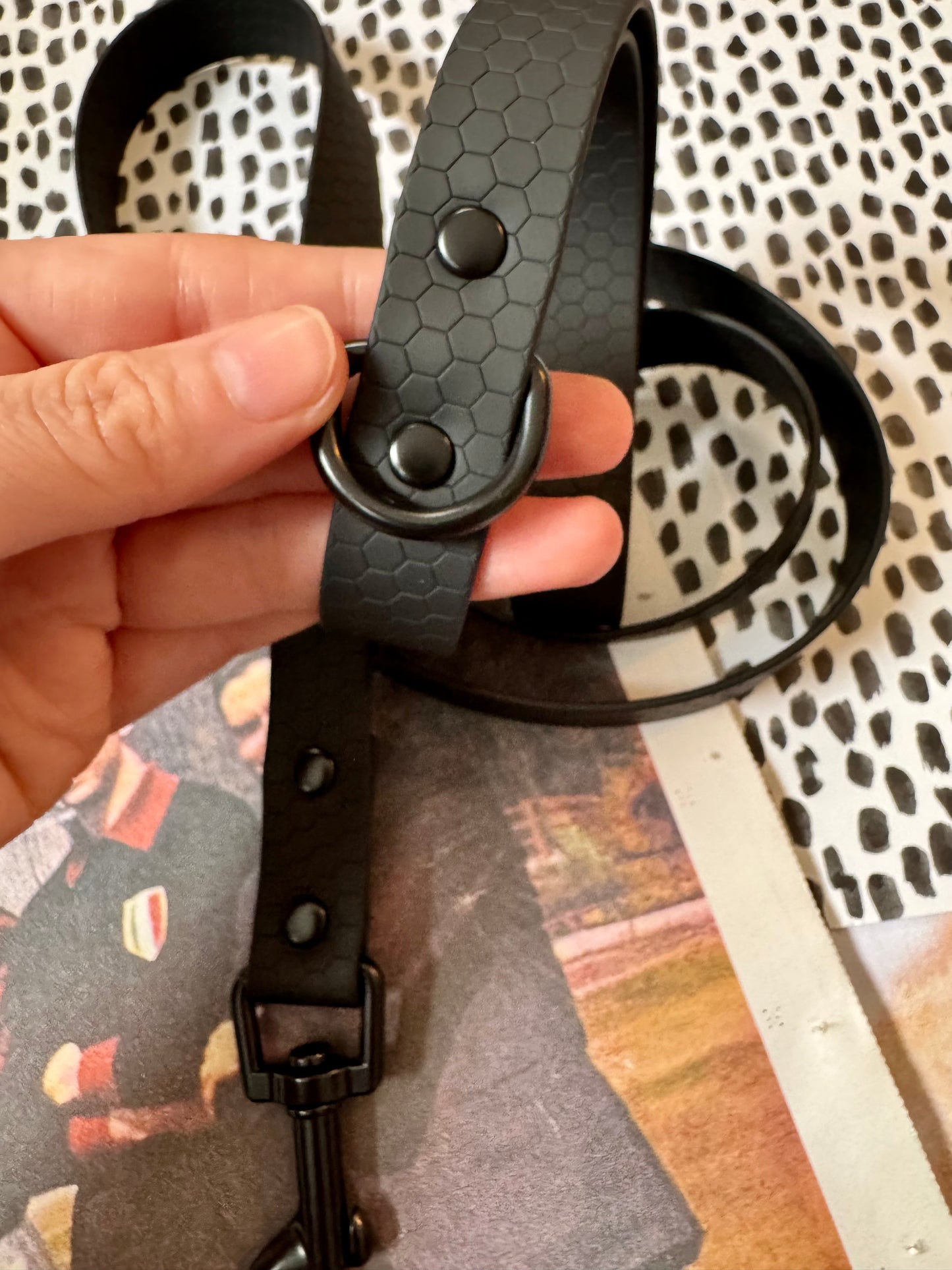 Waterproof Leash 5 FT