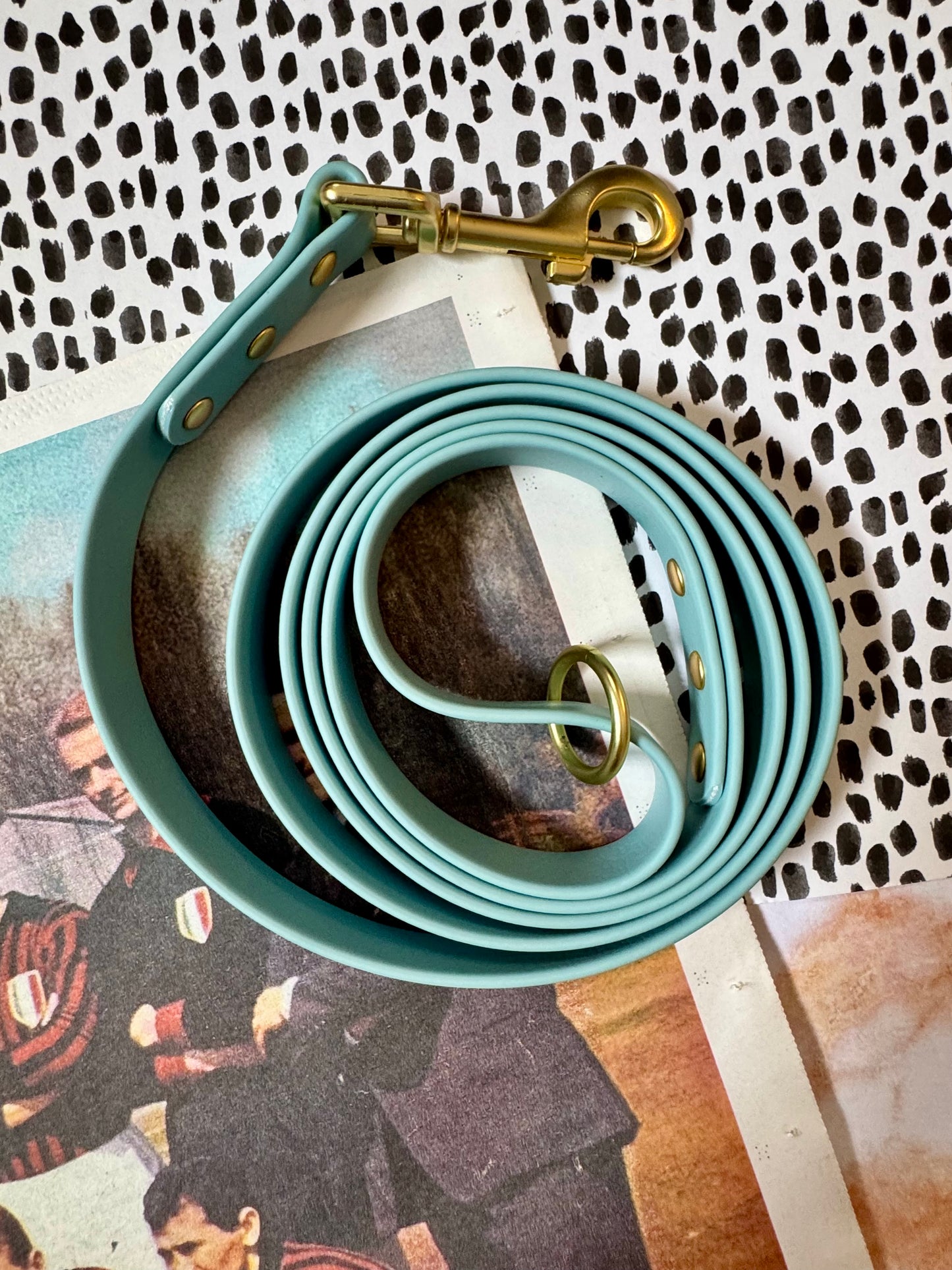Waterproof Leash 5 FT