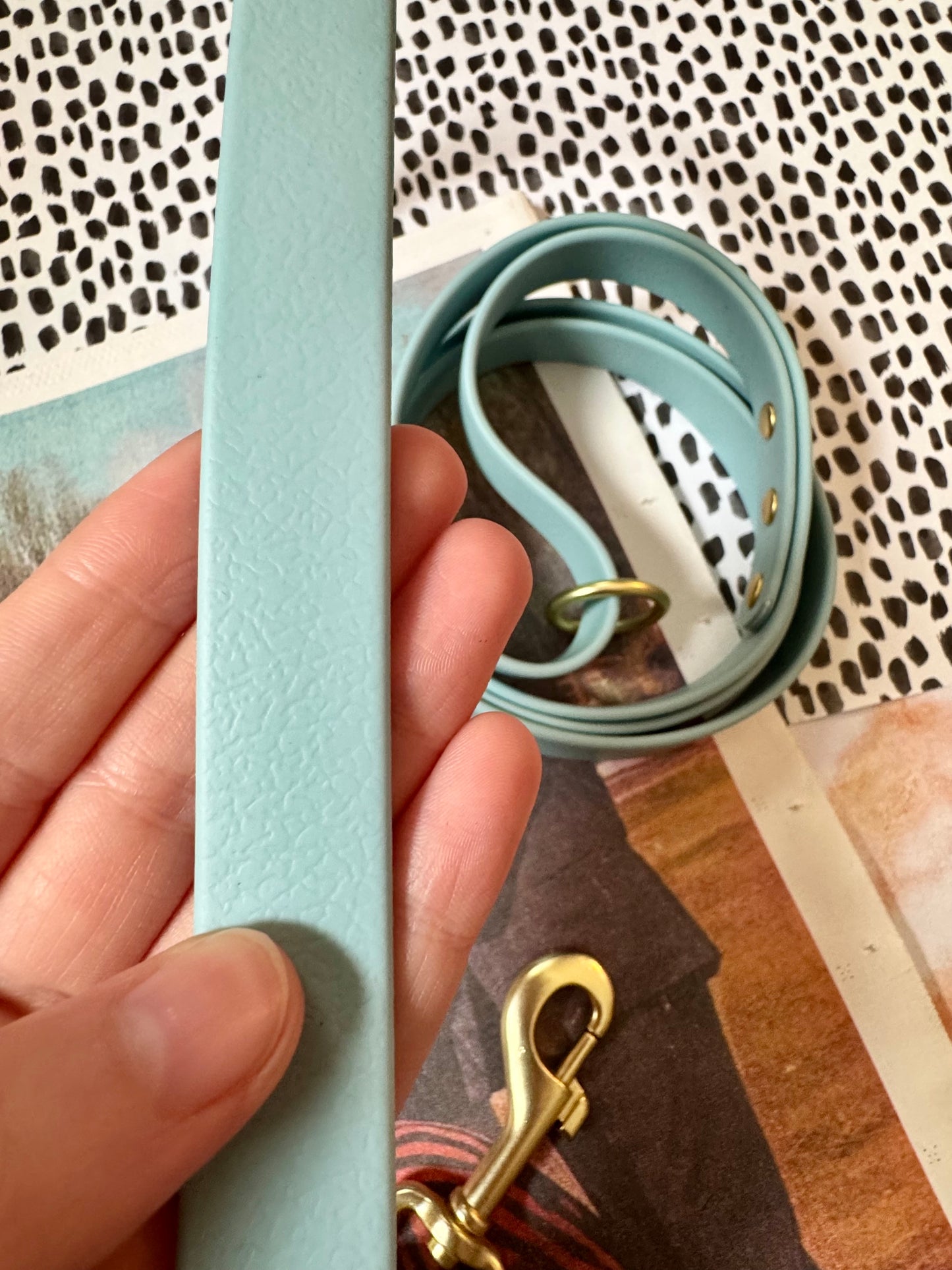 Waterproof Leash 5 FT