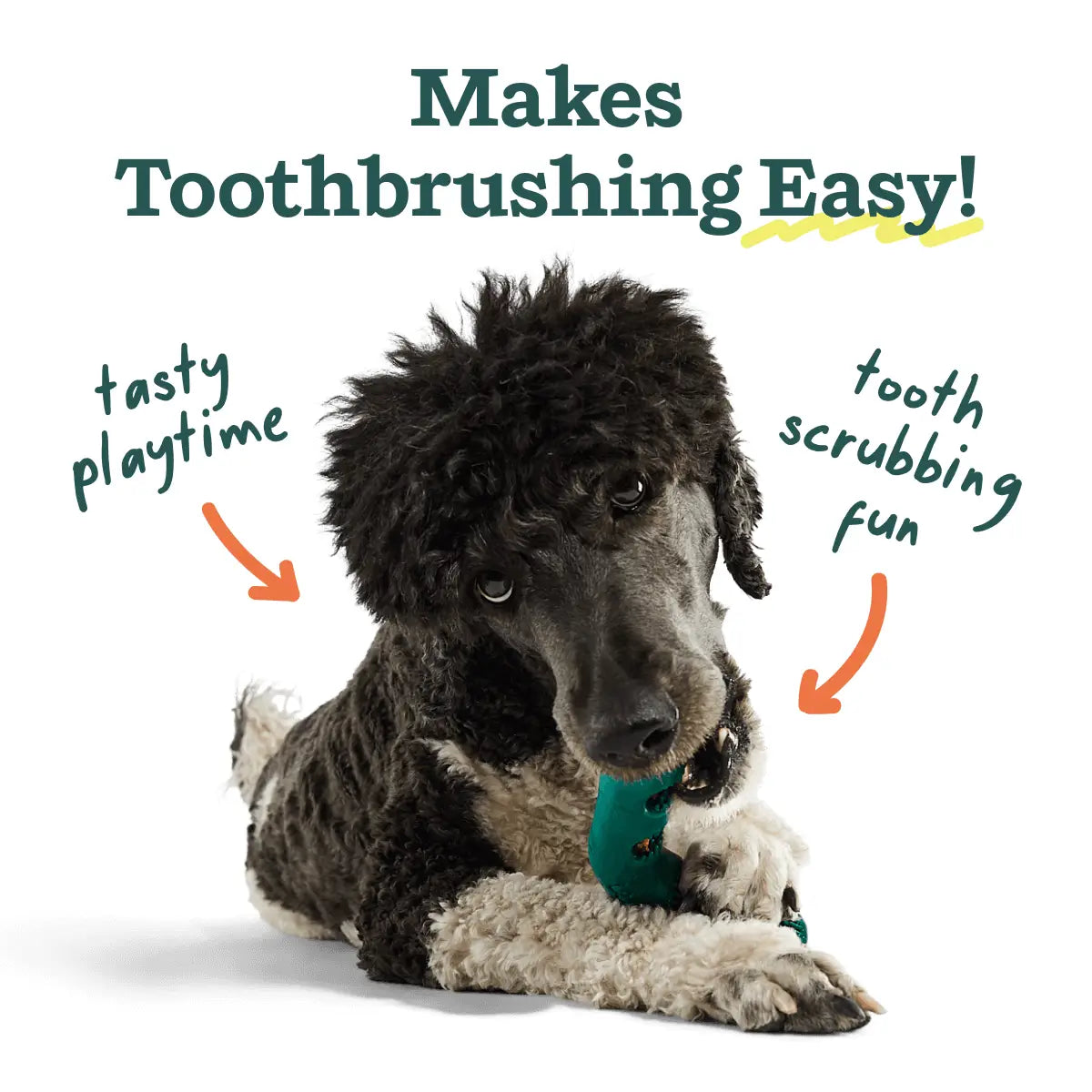 Bite n' Brush