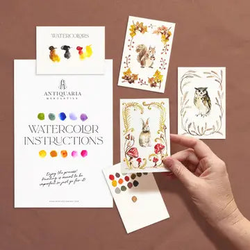 Mini Painting Kit - Woodland Friends