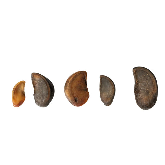 Cow Hooves - All Natural Dog Chews