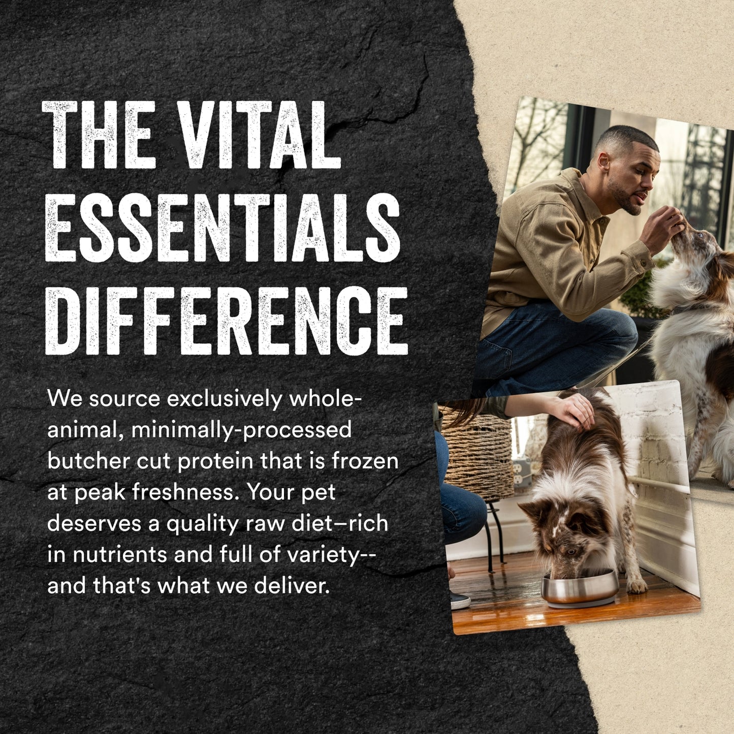 Vital Essentials Freeze-Dried Chicken Breast DOG Treats