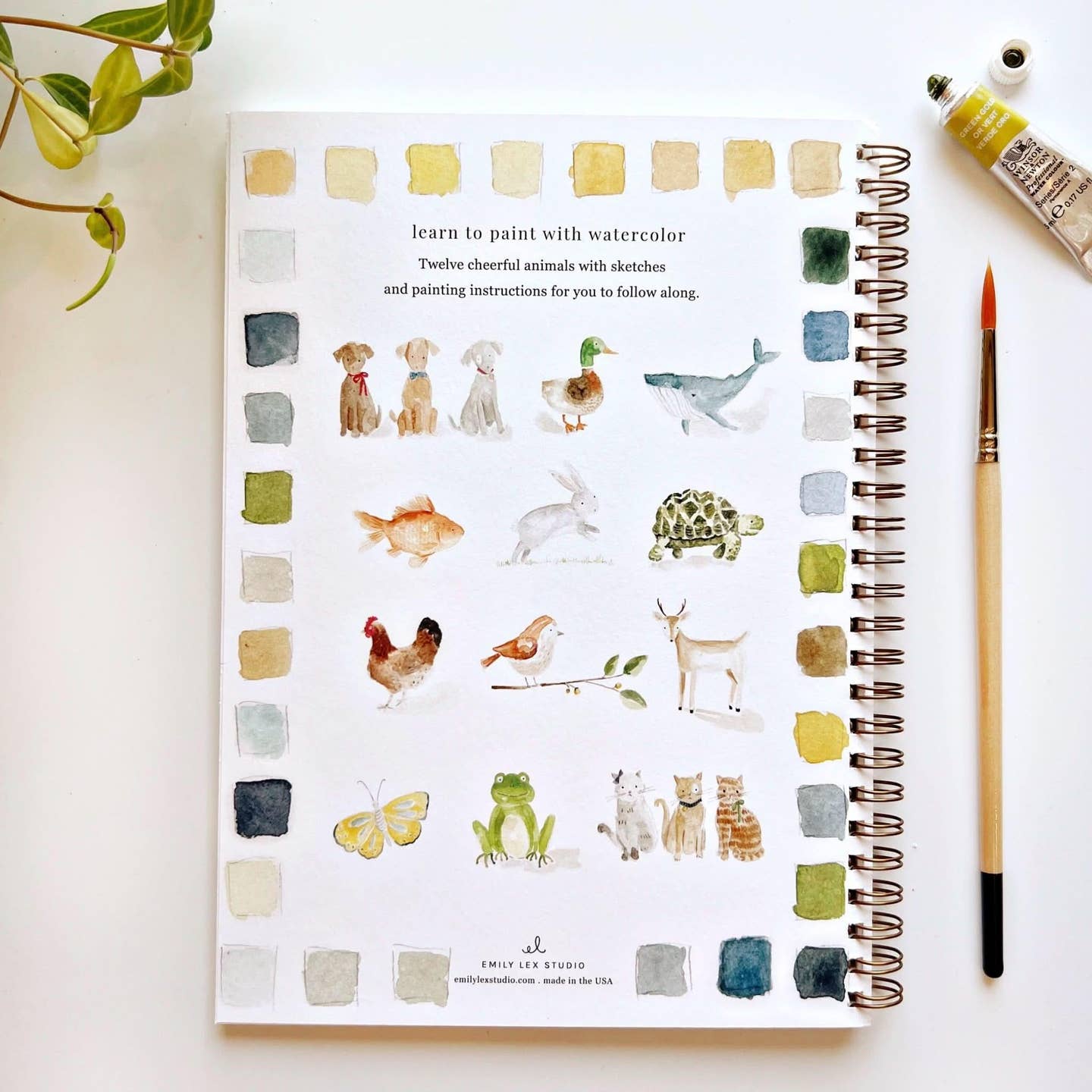 Animals- Watercolor Workbooks