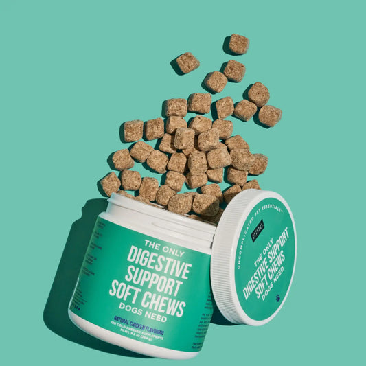 Digestive Support Soft Chews, 120 ct
