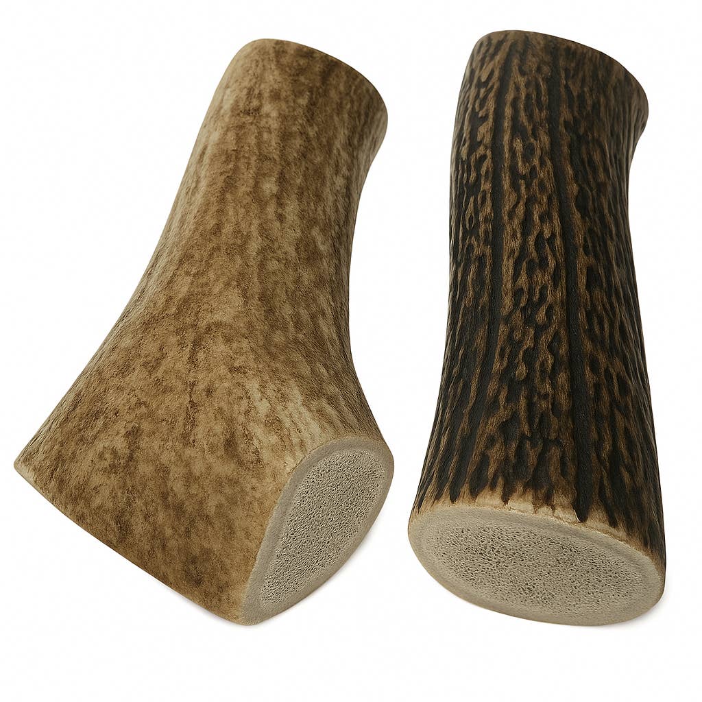 Jumbo Whole Deer Antler
