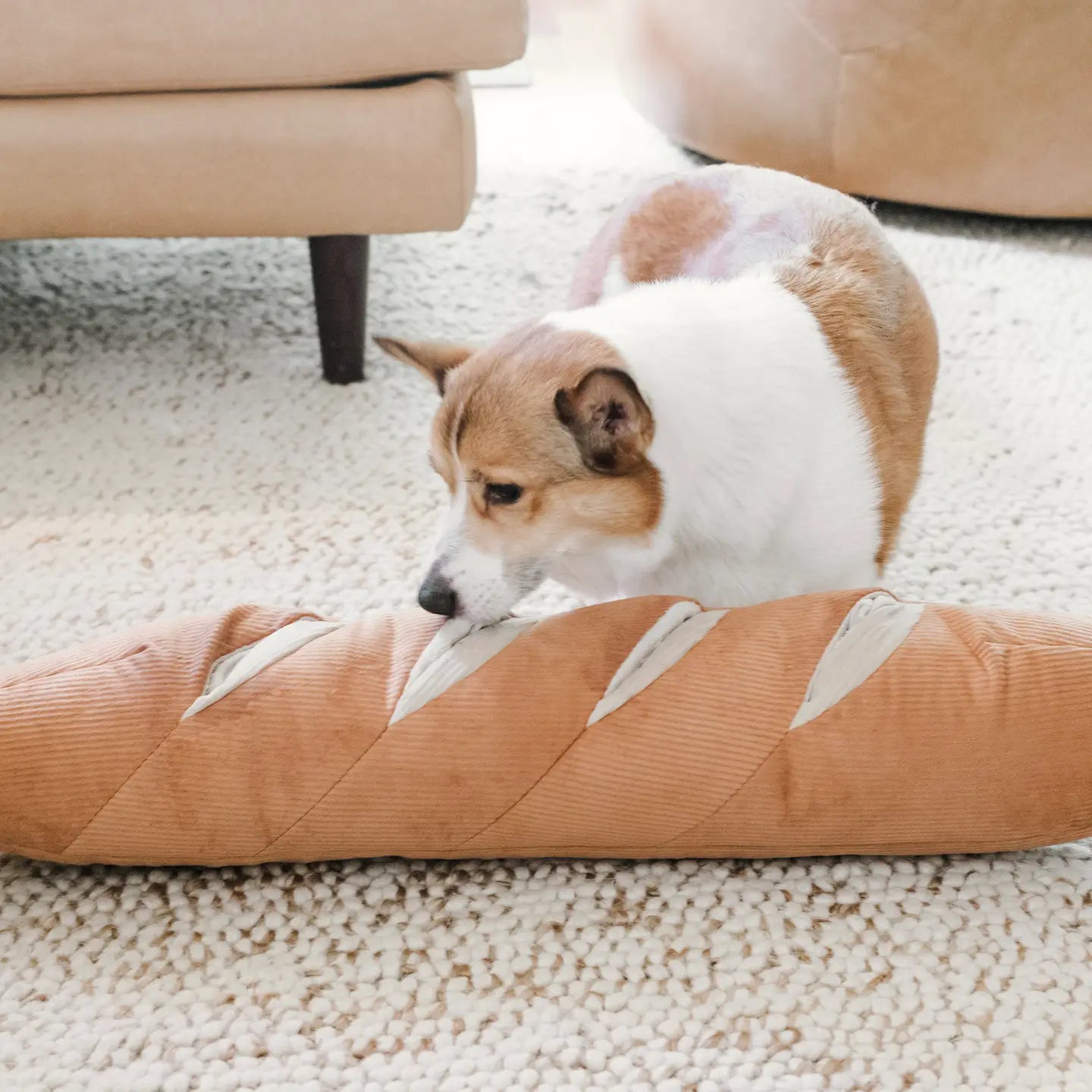 Baguette Enrichment Dog Toy