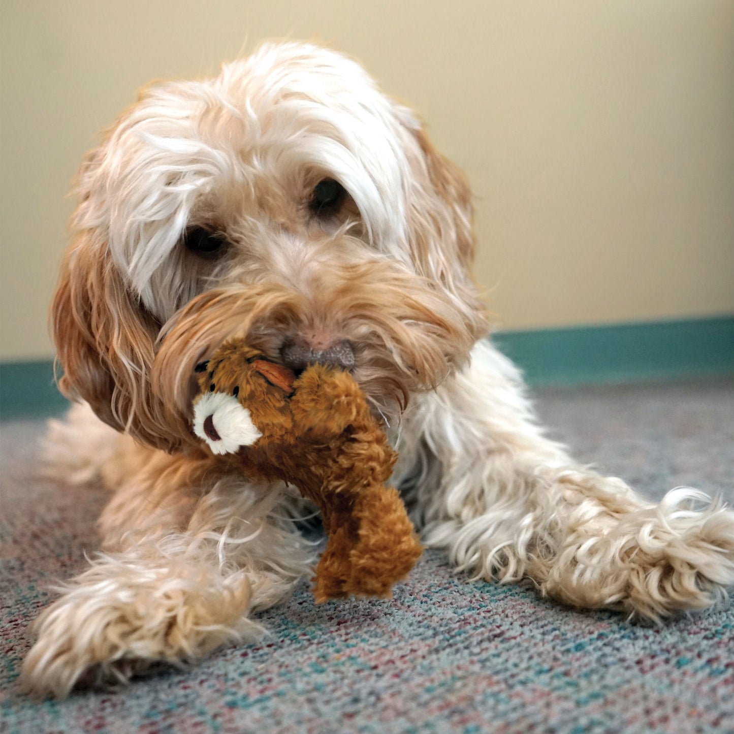 KONG Dr.Noyz Teddy Bear Dog Toy-Xs