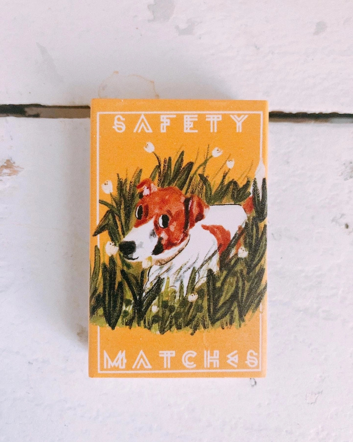 Dog in Grass on Yellow Matchbox