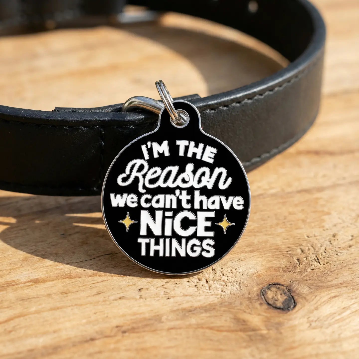 Pet ID Tags- Can’t Have Nice Things