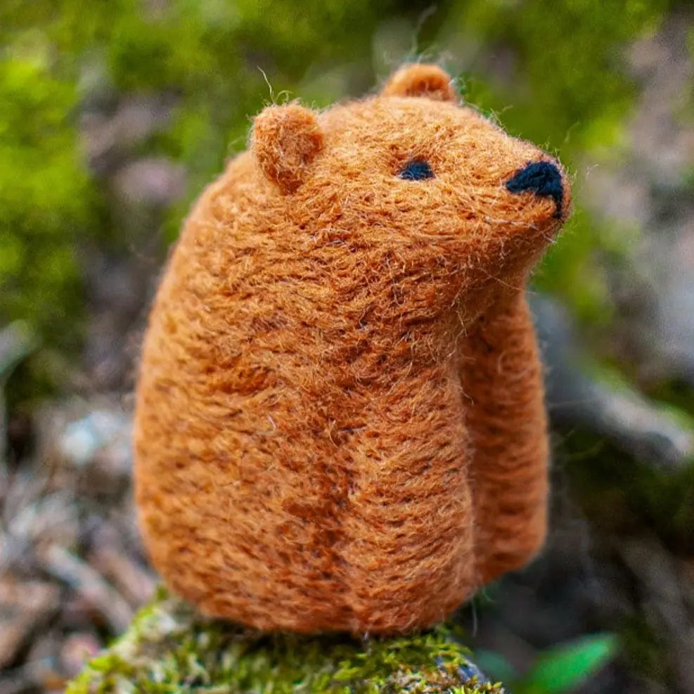 Bear, Needle Felting Kit
