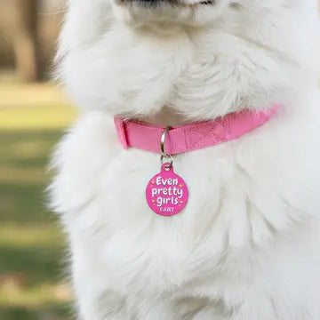 Pet ID Tags- Even Pretty Girls Fart