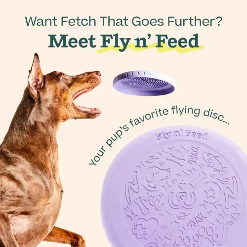 Fly’n Feed