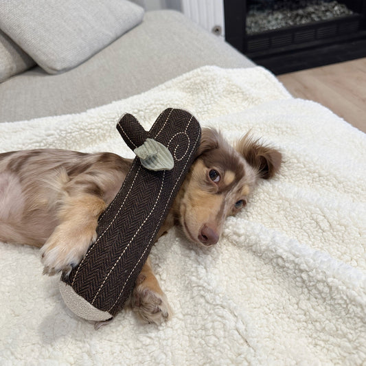 Fire Log Enrichment Dog Toys
