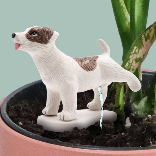 Pee My Plants Watering Deco