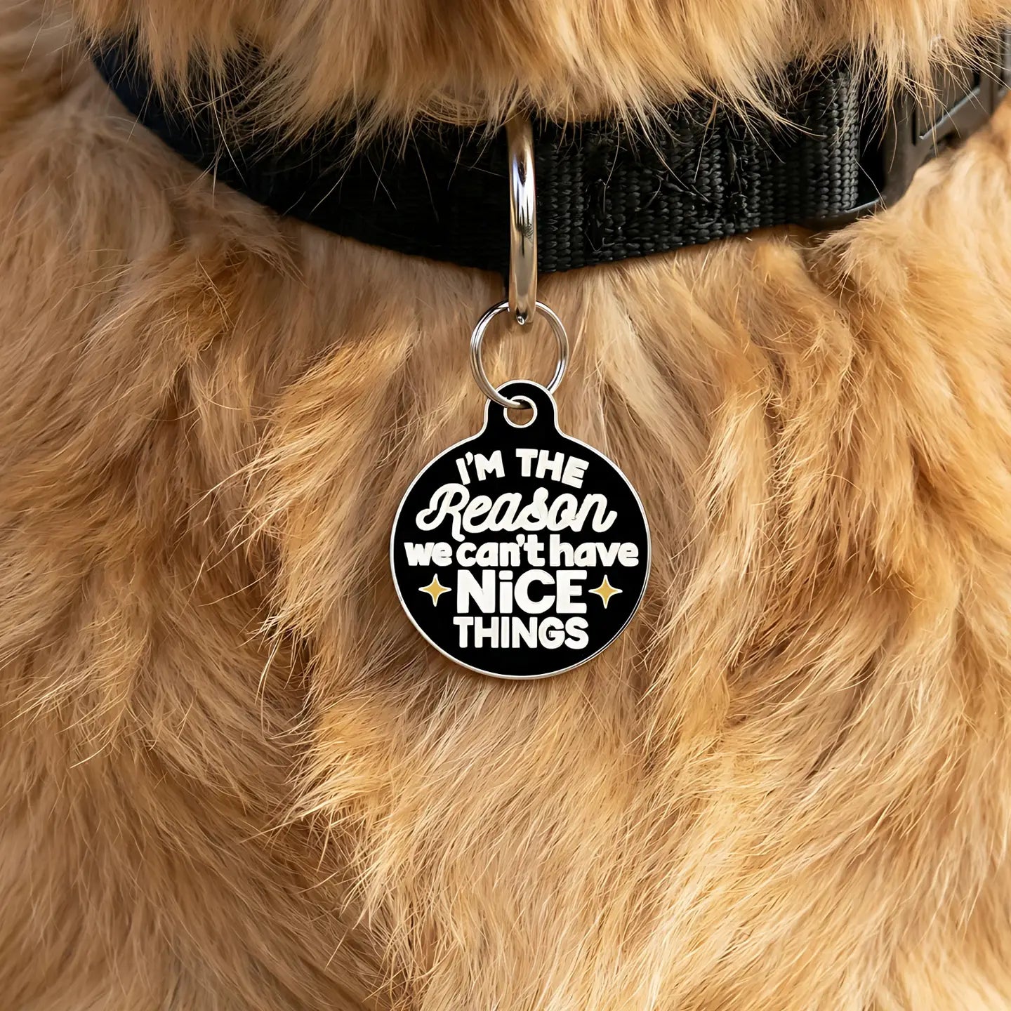 Pet ID Tags- Can’t Have Nice Things