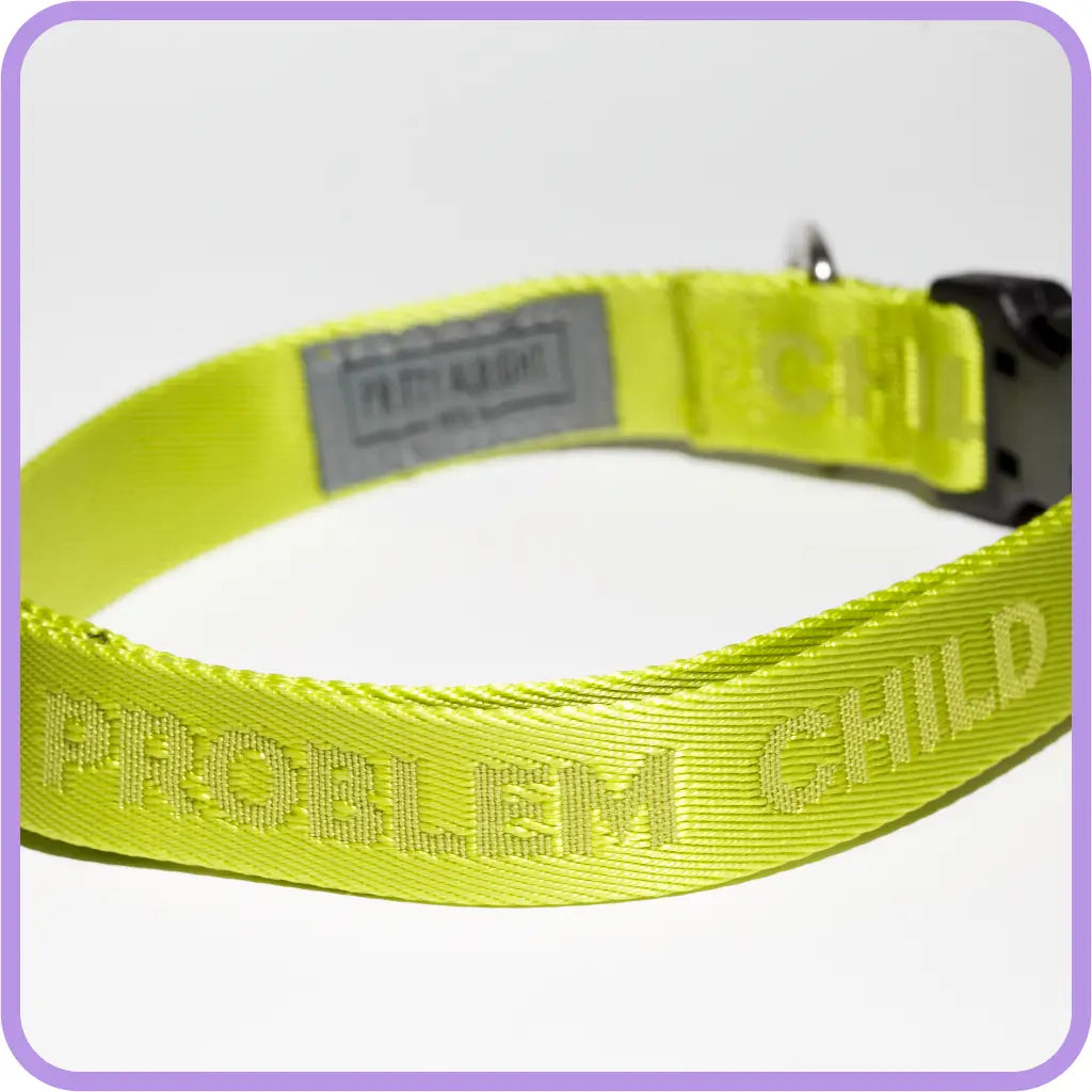 Problem Child Collar