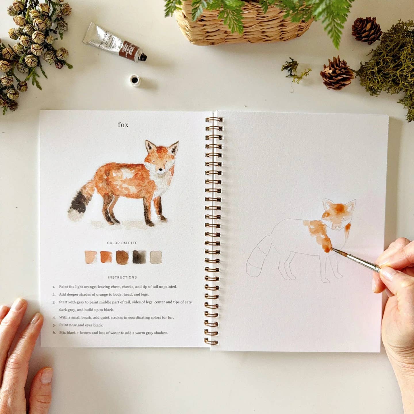 Woodland-Watercolor Workbooks