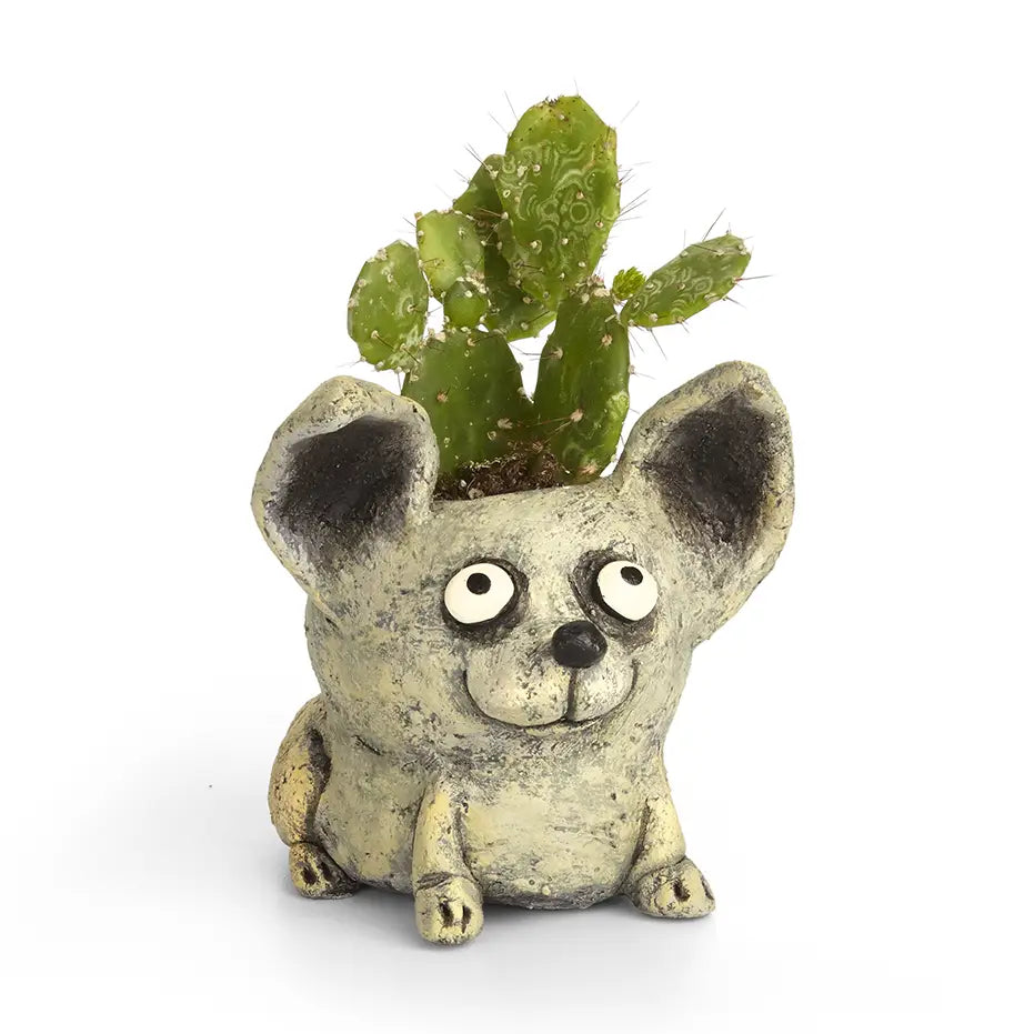 Chico Dog Blobhouse Planter