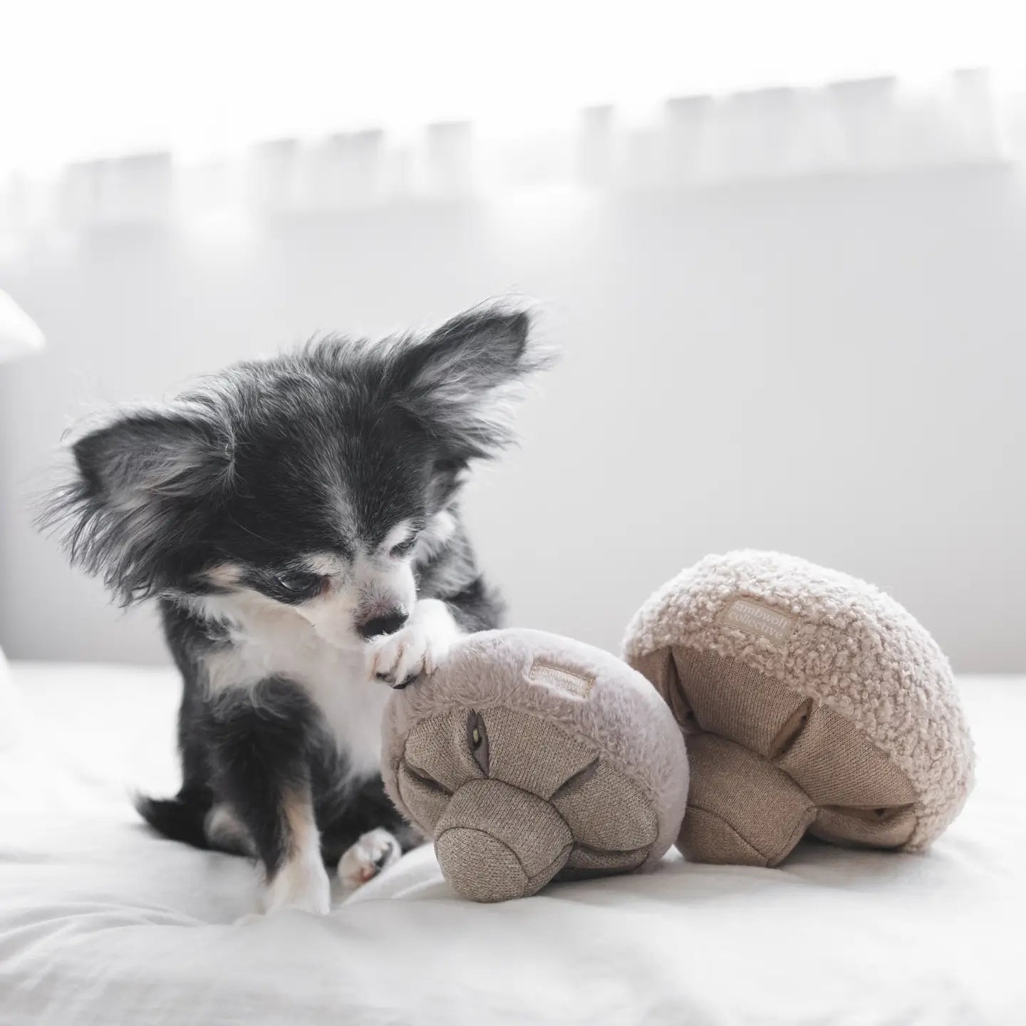 Mushroom Enrichment Dog Toy, M