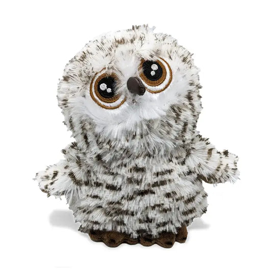 Big Eye Owl